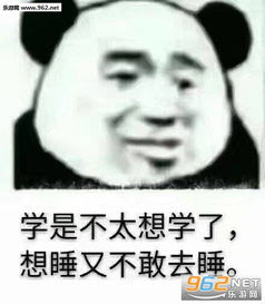 你怎么这么牛表情包我是谁我是你得不到的女人表情包图片下载乐游网游戏下载