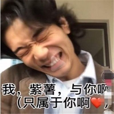 我紫薯于你土味情话表情包高清下载