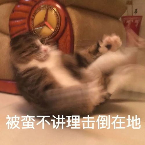 当你下定决心减肥时...都过年了你好意思胖