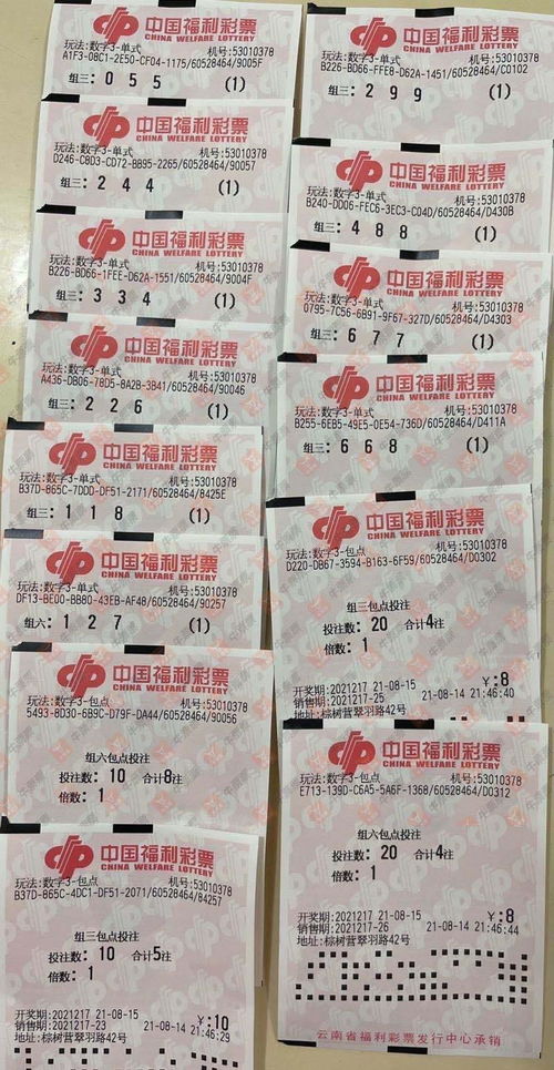 217期福彩3d看点,胆码难寻难于上青天欣赏为主切勿盲目参与