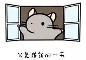 车主必看2019这些汽车新政你应该知道
