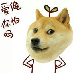 门迪表情包狗头
