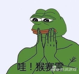 转发锦鲤能不能得九阴绝学的高转装备