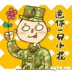 好嗨呦强军颜值表情包大赛又双叒叕来了丨国内丨信阳电视网丨信阳独家视频新闻网站