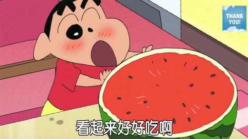 蜡笔小新小新和小葵要吃西瓜,看见西瓜后表情变得超级萌