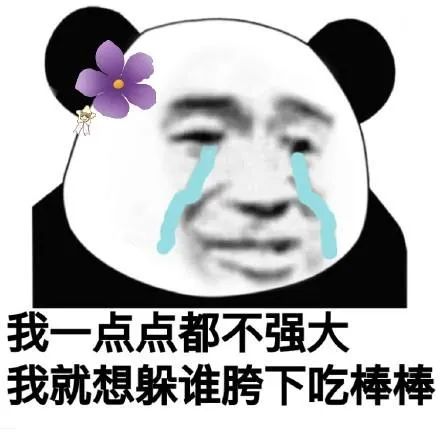 微信贴图表情包养生