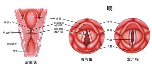 声带小结必须做手术吗