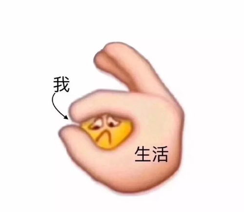 为什么每次选课都会被高中同学嘲笑
