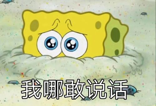 让人哈哈哈哈哈哈哈笑不停的文案