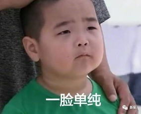 撞脸赵丽颖和周迅,碾压过倪妮袁姗姗的她却始终火不起来