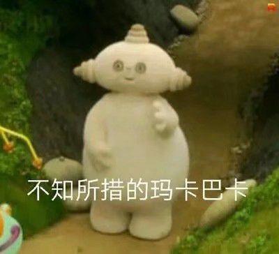 在上海师范大学就读是什么体验