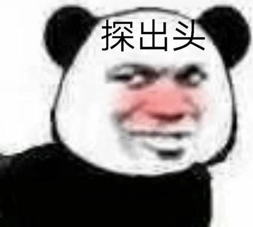 电信移动联通那个更划算