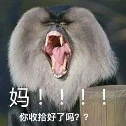 极客基地什么这个长得像洞洞鞋的东西,居然是个文具盒