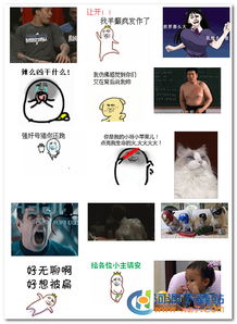 搞笑动态聊天表情超搞笑的聊天gif图片表情27p极光下载站