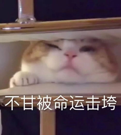 表达开心的沙雕朋友圈文案