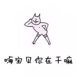网通社汽车韶关市丰日海马