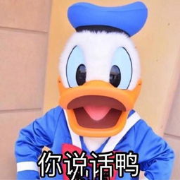 打招呼表情包早上好鸭你在干嘛鸭哈喽鸭今天吃什么鸭