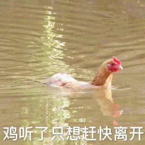 聊天必备表情包第16期