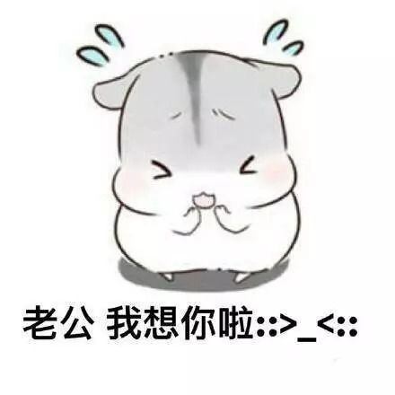 叫老公起床的表情包夫君