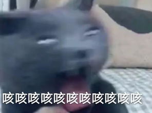 春运回家路上的奇葩,可比人在囧途里的厉害多了