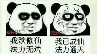 这是什么梗,最近总有这种表情包,修仙是什么意思