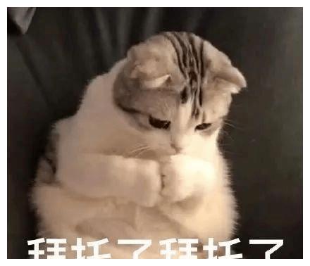 开学只来了一个人...小朋友真的有问号哈哈哈