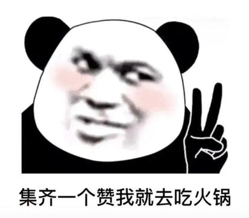 今日份熊猫头热门表情