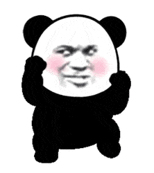 沙雕动图表情包