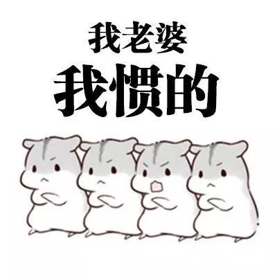 老婆仓鼠表情包