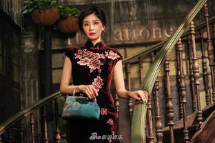 贾静雯穿旗袍大秀婀娜身材