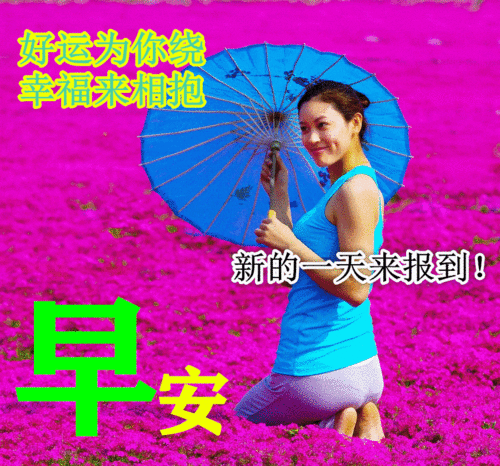 早上好朋友,最新特漂亮早上好鲜花图片带字带祝福语夏天早安问候祝福短信句子