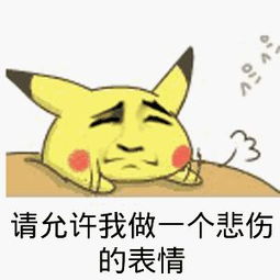 云天空的宠儿