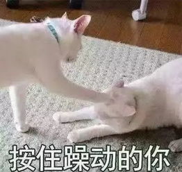 一年烧掉一套房比炒鞋还烧钱的盲盒,能赚39倍