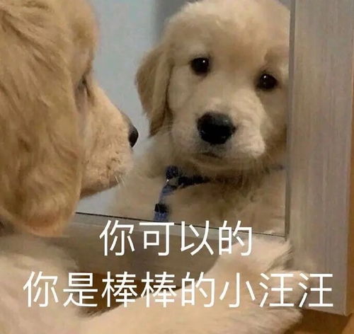 裸辞后悔了,现在有两个offer,友友们帮忙康康吧