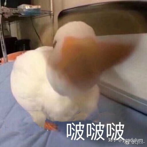 有没有表示安慰对方,心疼对方的表情包