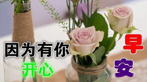 10月16日最漂亮早上好动态表情图片大全,早晨好美图大全