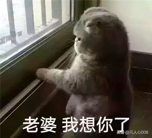 给女朋友发的污污的表情包18岁以下禁止入内