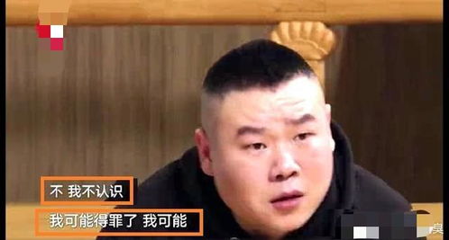如懿传带不红的张钧甯,是真的该谢谢岳云鹏