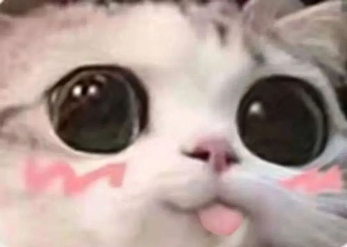 偷看你洗澡动图表情包