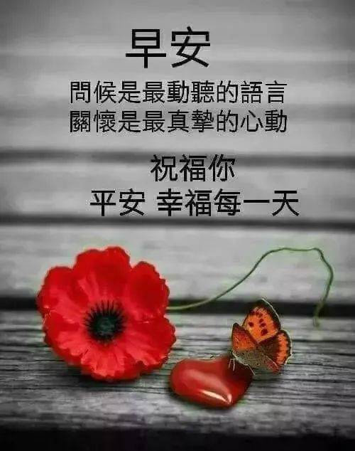 早上好问候祝福动态表情图片秋天新版早安问候语动态图片表情