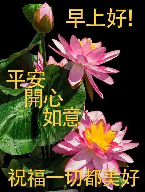 早上好问候语温馨图片动态表情,清晨祝福语大全短动画图片