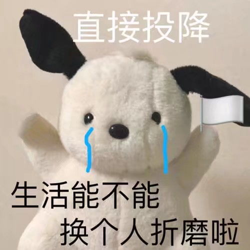 家有萌宠伤心主人求帮助