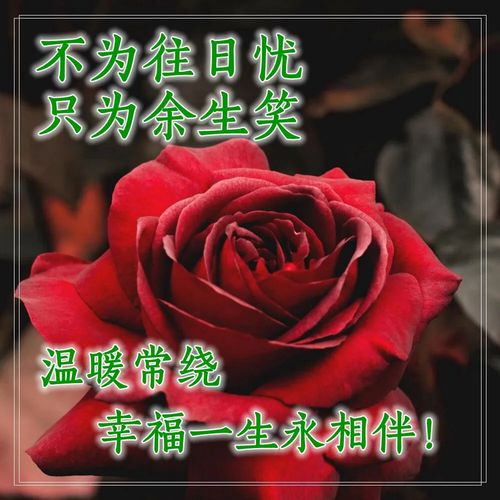 早上好问候语大全早安语录心情好的句子早上好表情包