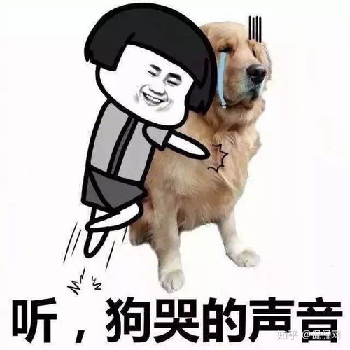 亚马逊运营,真的没有你想象的那样光鲜