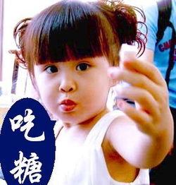 这么和谐主人省心多了
