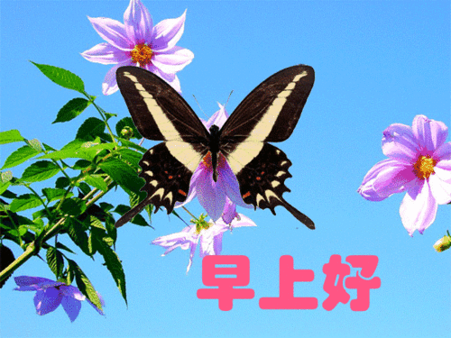 9月23日秋分早安问候每日一祝