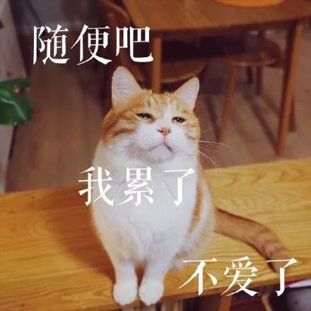 2018年最后几天被强冷空气包场