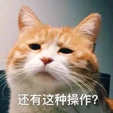 你已被对方拉黑