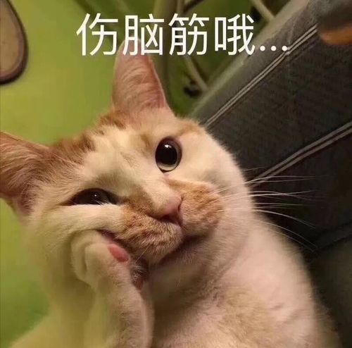 建议女生不管有钱没钱,这5款美食要常吃,元气满满显年轻