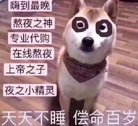 睡啥睡起来嗨表情包熬夜